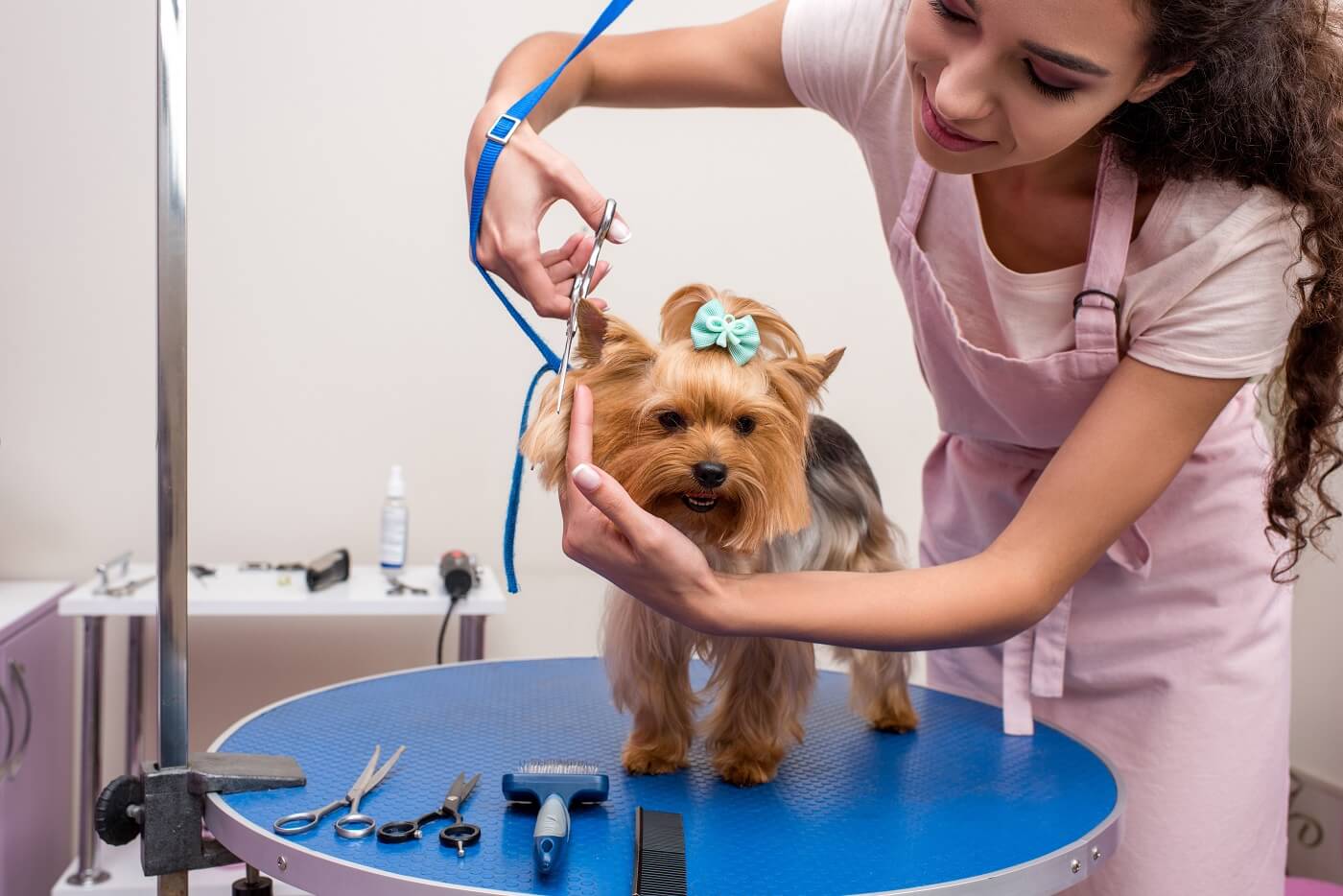 Puppy Mutt Groom