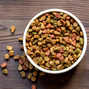 Kitty food