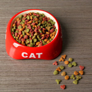 Special cat food