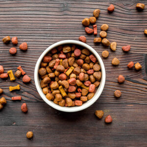 Special dog food