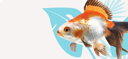 Fishes