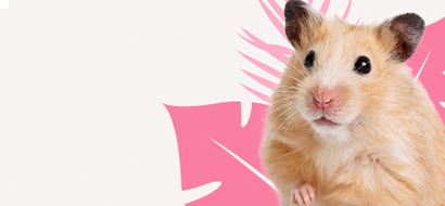 Hamsters